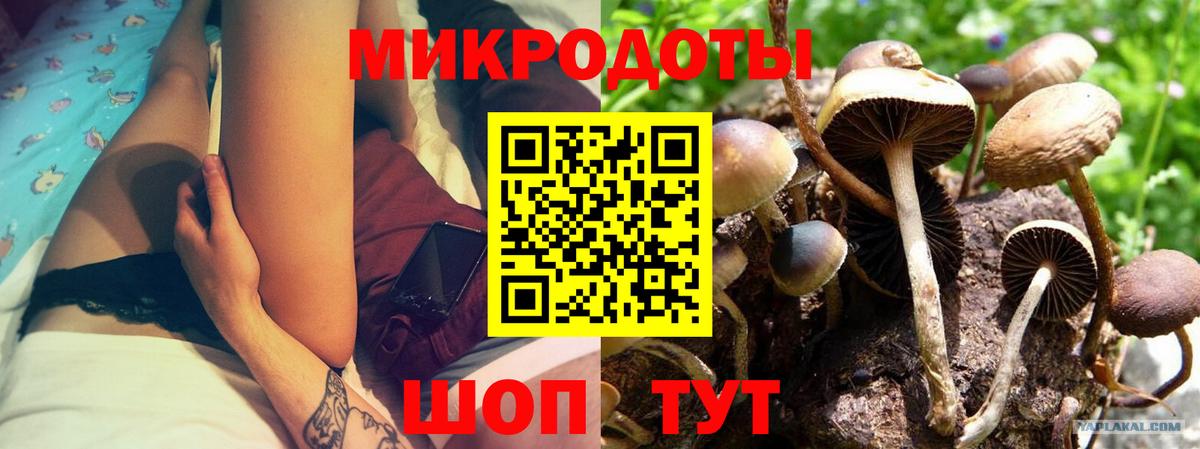 Белая Калитва  Псилоцибиновые грибы MAGIC MUSHROOMS  Вход с VPN 